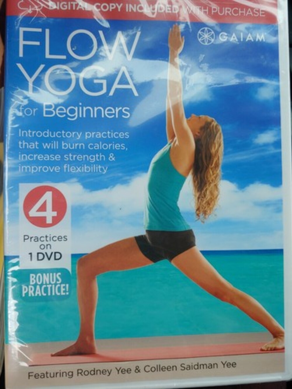 GAIAM Flow Yoga for Beginners Rodney Yee & Colleen Saidman